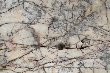 Texture line marble background vintage