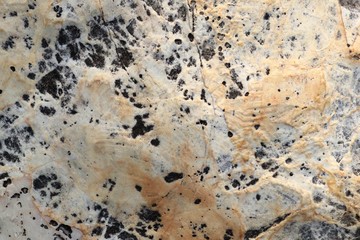 Texture line marble background vintage