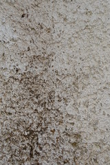 Old Wall Texture 3
