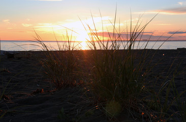 Sunset at coast through sea grass very  bright