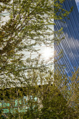 Fototapeta na wymiar Sun Flare on Office Building with Trees