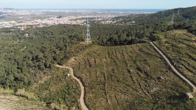 Aerial view  of fields of cherry blossom  in Barcelona. Sant Climent de Llobregat. Spain. 4k Drone Video