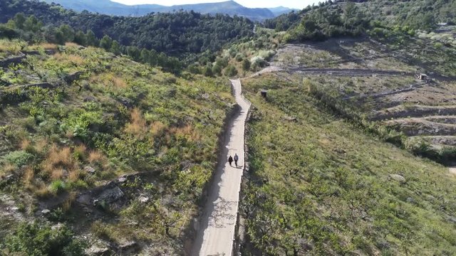 Aerial view  of fields of cherry blossom  in Barcelona. Sant Climent de Llobregat. Spain. 4k Drone Video
