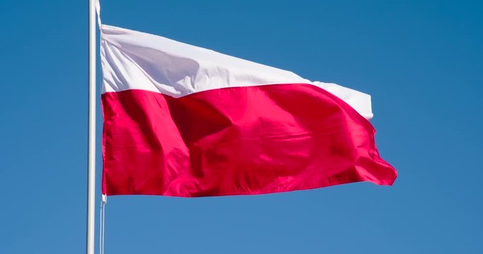 Flag of Poland Fluttering in the Wind. The Big State Flag is illuminated by the sun and flutters epically in the wind against the blue sky. Slow Motion 120 fps