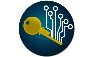 Cryptocurrency key icon isolated