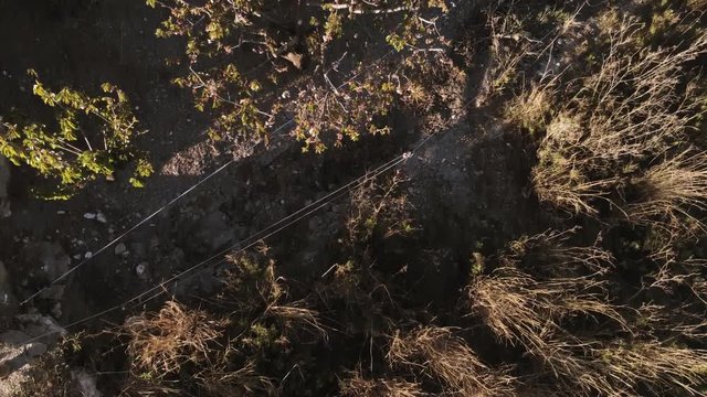 Aerial view  of fields of cherry blossom  in Barcelona. Sant Climent de Llobregat. Spain. 4k Drone Video