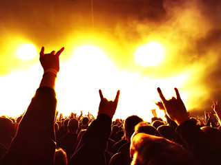 cheering crowd at rock concert