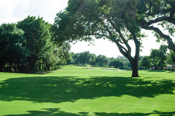 Golf course landscape