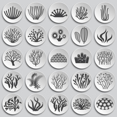 Coral icons set on background for graphic and web design. Simple illustration. Internet concept symbol for website button or mobile app.