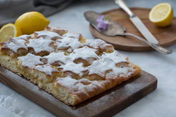 Piece of lemon pie for a breakfast. Piece of lemon pie for a breakfast on a light background