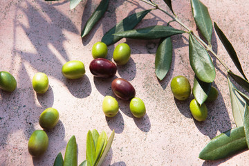 四国、小豆島のオリーブ　香川・日本