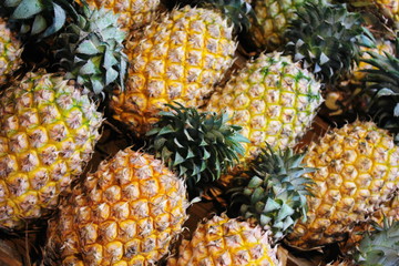 Pineapples are in a row.