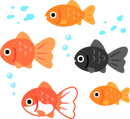 いろいろな金魚