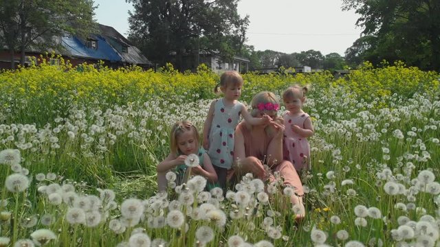 Aerial: Young blonde hippie mother having quality time sitting with her baby girls at a park dandelion field - Daughters wear similar dresses with strawberry print - Family values