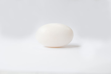 Crocodile egg with white background