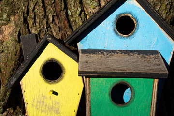 Colorful wooden birdhouse