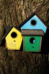 Colorful wooden birdhouse