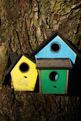 Colorful wooden birdhouse
