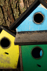Colorful wooden birdhouse