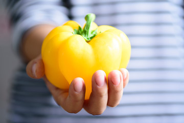 Yellow bell pepper holding by hand, organic vegetable