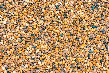 Small rocks or stone texture for background.