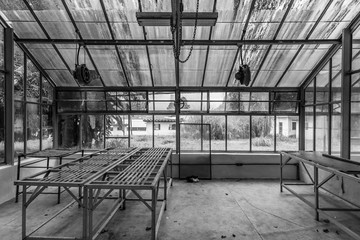 Abandoned Greenhouse B&W