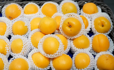 fresh apricots in package for sale