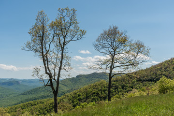 Obraz premium Beautiful Blue Ridge Parkway vista in springtime, North Carolina