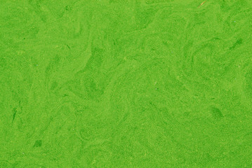 Detail of a bright green algae bloom on the surface of a water body.