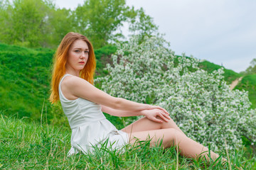 Naklejka na ściany i meble The red-haired girl in a white dress sitting on green grass on a background of a blossoming Apple tree. Girl spring on nature.