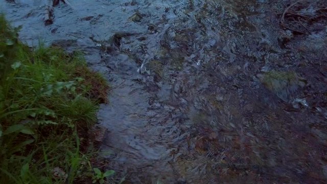 Stormy Glomma River in the forest in county in Norway