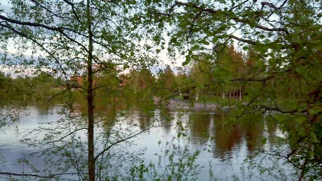 Beautiful Norwegian forest in Hedmark county in Norway