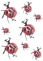 pattern red and black ladybug on white background