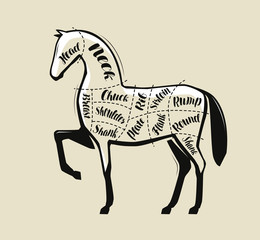 Diagram guide for cutting meat, butcher shop. Horse vintage vector illustration