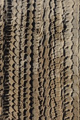 Four wheel drive vertical tyre marks in sand portrait background