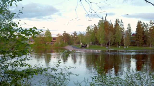 Beautiful Norwegian forest in Hedmark county in Norway
