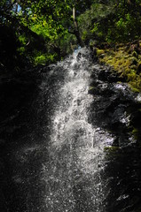 京都市の愛宕山麓にある滝で空也の滝（くうやのたき）です。