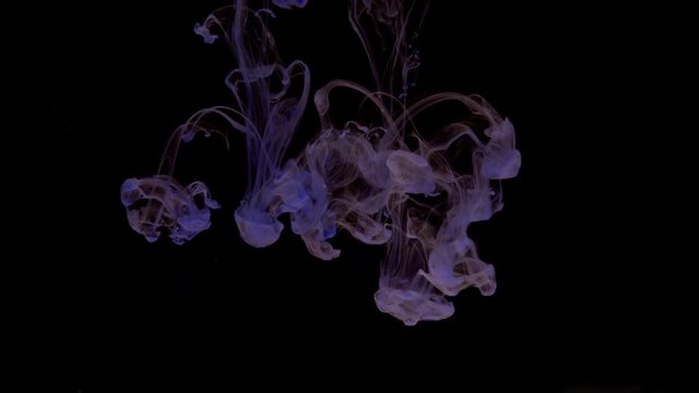 Lavender ink in water on black background. Camera fixed, angle neutral, close up shoot, slow motion. (TOKYO, JAPAN - 10th May 2019).
