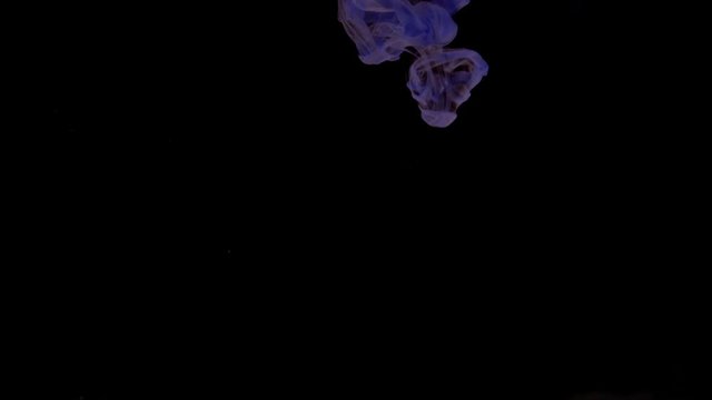 Lavender Ink trickle dissolves in water in slow motion isolated on black background. Camera fixed, angle neutral, close up shoot, slow motion. (TOKYO, JAPAN - 10th May 2019).