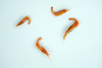 건새우, 마른새우 오브젝트