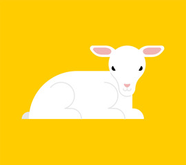 White lamb isolated. Little yeanling vector illustration 