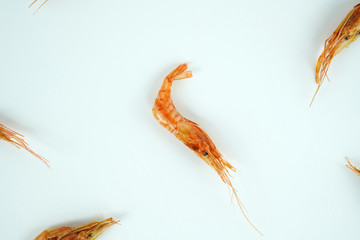 건새우, 마른새우 오브젝트