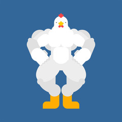 Strong chicken. Powerful hen. rooster bodybuilder. hard Farm bird