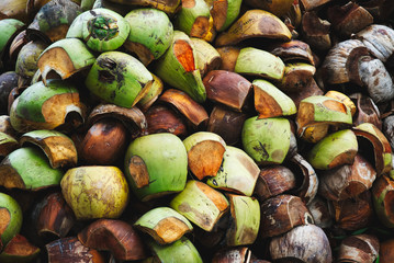 a bunch of green and brown coconut shells