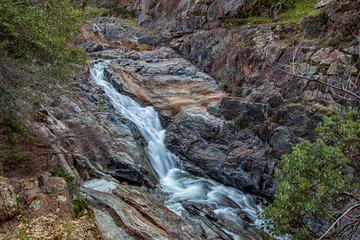 waterfall in forest