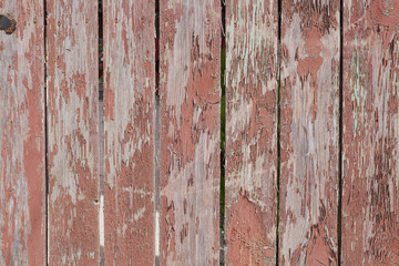 background texture old wooden painted wall