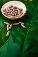 Obraz premium The picture of medicine in a cup on the tree leaf