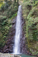 Waterfall of Yoro at autumn time. Japan
