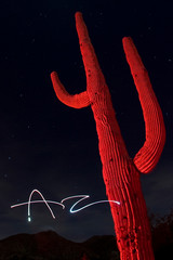 A cactus is lit red while the word Arizona is spelled with a flashlight during a long exposure.