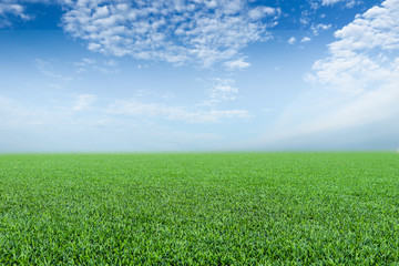 Obraz na płótnie Canvas field and bright blue sky .